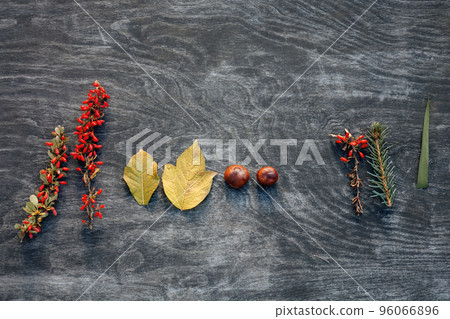 Autumn natural set Autumn natural set 96066896