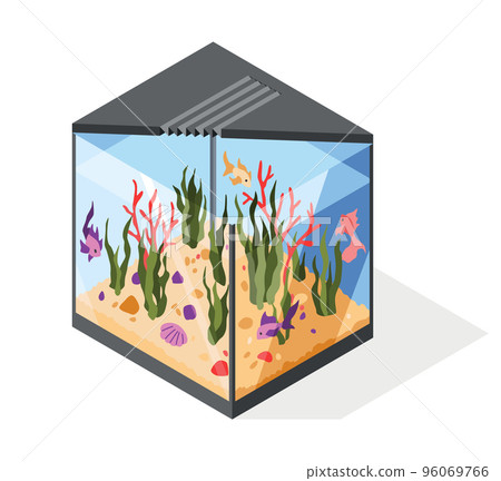 Isometric aquarium in minimalistic style with goldfish and set of underwater elements, corals. Transparent acrylic box for exhibit. Vector illustration showcase glass on white background Isometric aquarium in minimalistic style with goldfish and set of underwater elements, corals. Transparent acrylic box for exhibit. Vector illustration showcase glass on white background 96069766