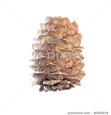 Cone isolated on white background Cone isolated on white background 96069834