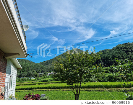 鄉村 96069916