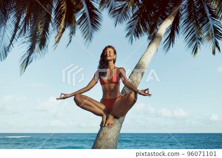 Summer Lifestyle Portrait of Happy Tanned Girl Model in Bikini in Yoga Pose on Palm Tree at the Tropical Beach Summer Lifestyle Portrait of Happy Tanned Girl Model in Bikini in Yoga Pose on Palm Tree at the Tropical Beach 96071101