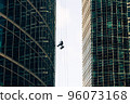 Industrial mountaineering. Window cleaner performs work between two skyscrapers 96073168