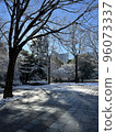A snow-covered park 96073337