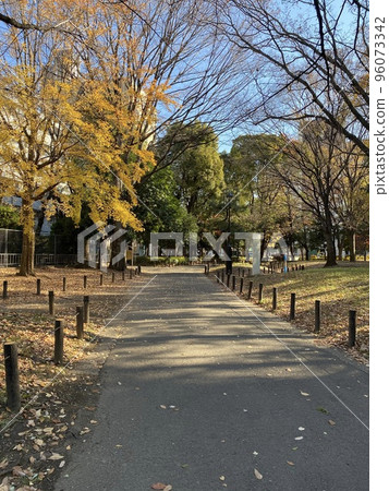 Autumnal leaves park Autumnal leaves park 96073342