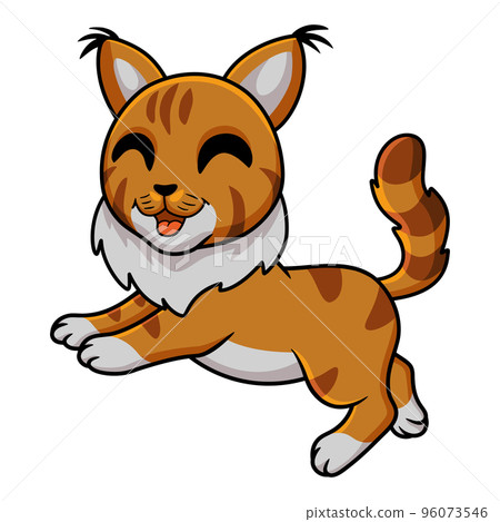 Cute maine coon cat cartoon Cute maine coon cat cartoon 96073546
