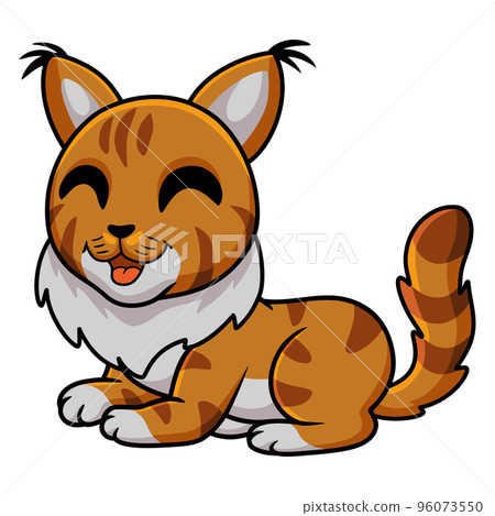 Cute maine coon cat cartoon Cute maine coon cat cartoon 96073550