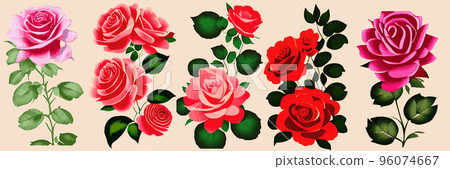 set Beautiful vintage red roses with leaves. Flower composition. Design greeting card and invitation wedding, birthday, Valentine's Day, Mother's Day other holidays. Vector set blooming flowers 96074667