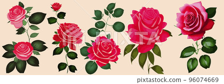 Beautiful Red Roses Beautiful Bouquet Birthday Stock Photo