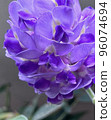 Amethyst Fall 96074694
