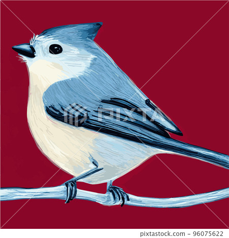 Vector realistic detailed vector illustration winter birds branches. Winter design elements Christmas, holidays. sitting branch. Winter background. Tree branch without leaves with flying birds. Vector realistic detailed vector illustration winter birds branches. Winter design elements Christmas, holidays. sitting branch. Winter background. Tree branch without leaves with flying birds. 96075622