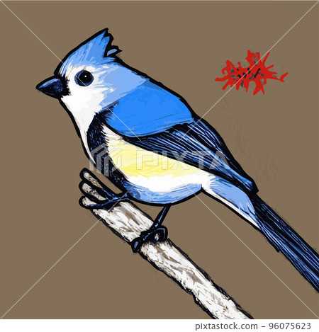 Vector realistic detailed vector illustration winter birds branches. Winter design elements Christmas, holidays. sitting branch. Winter background. Tree branch without leaves with flying birds. Vector realistic detailed vector illustration winter birds branches. Winter design elements Christmas, holidays. sitting branch. Winter background. Tree branch without leaves with flying birds. 96075623