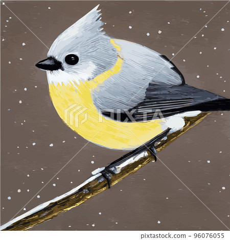Vector realistic detailed vector illustration winter birds branches. Winter design elements Christmas, holidays. sitting branch. Winter background. Tree branch without leaves with flying birds. 96076055