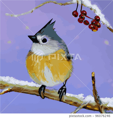 Vector realistic detailed vector illustration winter birds branches. Winter design elements Christmas, holidays. sitting branch. Winter background. Tree branch without leaves with flying birds. 96076246