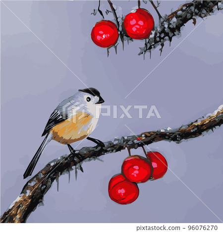 Vector realistic detailed vector illustration winter birds branches. Winter design elements Christmas, holidays. sitting branch. Winter background. Tree branch without leaves with flying birds. Vector realistic detailed vector illustration winter birds branches. Winter design elements Christmas, holidays. sitting branch. Winter background. Tree branch without leaves with flying birds. 96076270