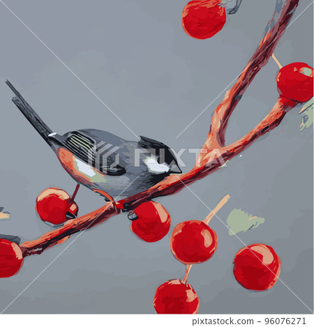 Vector realistic detailed vector illustration winter birds branches. Winter design elements Christmas, holidays. sitting branch. Winter background. Tree branch without leaves with flying birds. Vector realistic detailed vector illustration winter birds branches. Winter design elements Christmas, holidays. sitting branch. Winter background. Tree branch without leaves with flying birds. 96076271