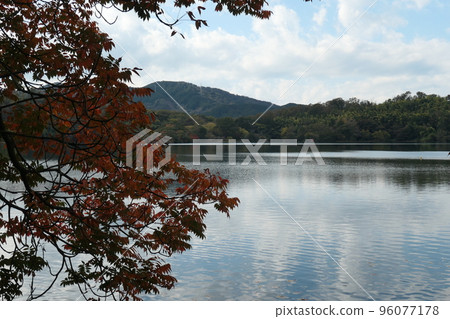 Ippekiko 96077178