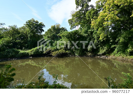 Biotope of Dragonfly Heaven in Kasamatsu City, Gifu Prefecture Biotope of Dragonfly Heaven in Kasamatsu City, Gifu Prefecture 96077217
