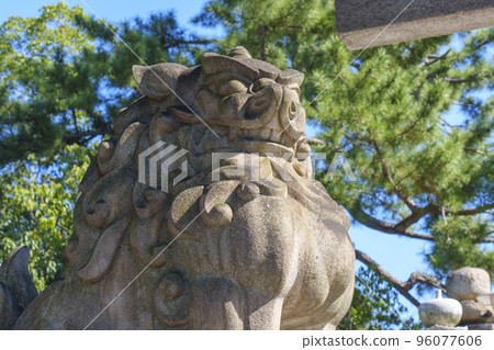 Sumiyoshi Taisha Shrine Komainu near the West Otorii Sumiyoshi Taisha Shrine Komainu near the West Otorii 96077606