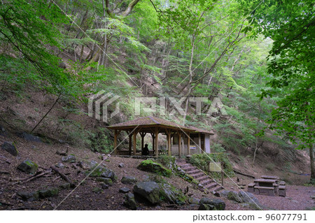 Rock Garden on Mt. Mitake | Ome City, Tokyo [Summer] 96077791