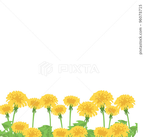 蒲公英背景 蒲公英背景 96078715