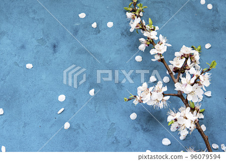 Grunge floral background Grunge floral background 96079594