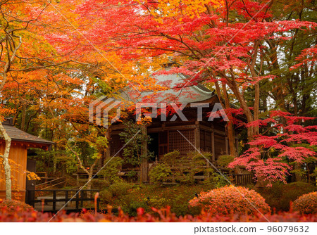 Chusonji寺 96079632