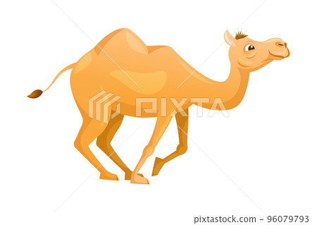Brown Camel as Even-toed Ungulate Desert Animal Running Vector Illustration 96079793