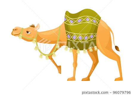 Brown Camel as Even-toed Ungulate Desert Animal with Saddle on Its Back Walking Vector Illustration Brown Camel as Even-toed Ungulate Desert Animal with Saddle on Its Back Walking Vector Illustration 96079796