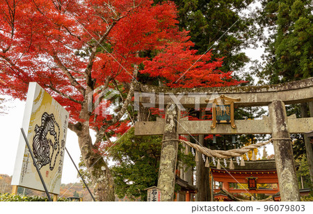 Takkokukutsu Torii Takkokukutsu Torii 96079803