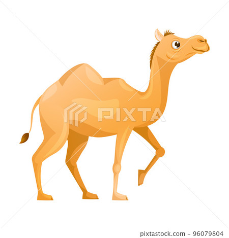 Brown Camel as Even-toed Ungulate Desert Animal Walking Vector Illustration Brown Camel as Even-toed Ungulate Desert Animal Walking Vector Illustration 96079804