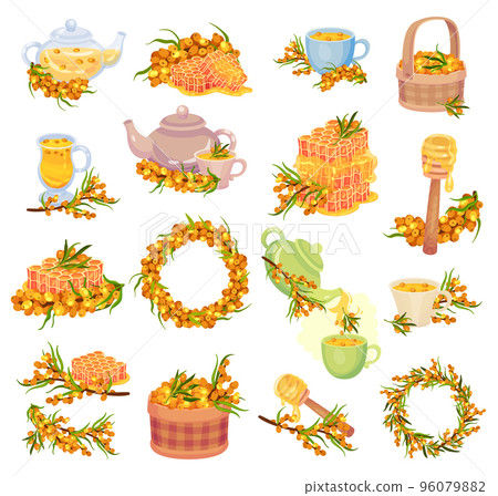 Sea Buckthorn Berry with Honey and Hot Tea Brewing Big Vector Set 96079882