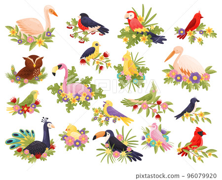 Set of birds with flowers set. Toucan, parrot, heron, flamingo, swan, owl birds sitting on blooming branches cartoon vector 96079920