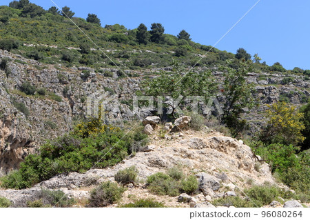 Golan Heights in northern Israel on the border with Syria. Golan Heights in northern Israel on the border with Syria. 96080264