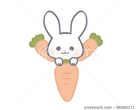 Rabbit carrot 96080271