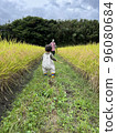 Toddler First rice harvest Help 96080684