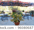 意大利錫耶納秋季咖啡館，秋葉盆栽 96080687