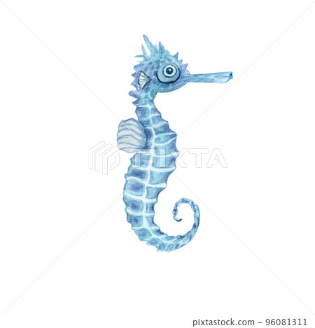 Seahorse in a watercolor style isolated on white background. Sea, ocean, marine fauna. for banner poster print postcard, textile template card clipart 96081311
