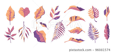 Exotic leaf collection. Tropical abstract leaves botanical flower design, cartoon floral decorative elements summer jungle leaves. Vector colorful set 96081574
