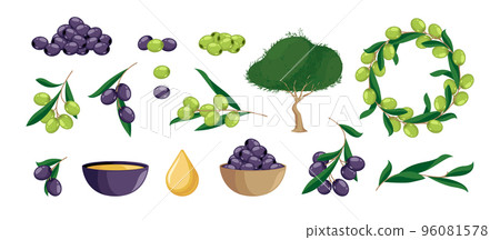 Cartoon olive set. Organic natural green and black products, mediterranean fruit branch leaves tree decorations. Vector isolated collection 96081578