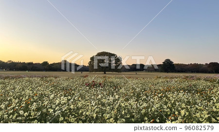 公園在城市 公園在城市 96082579