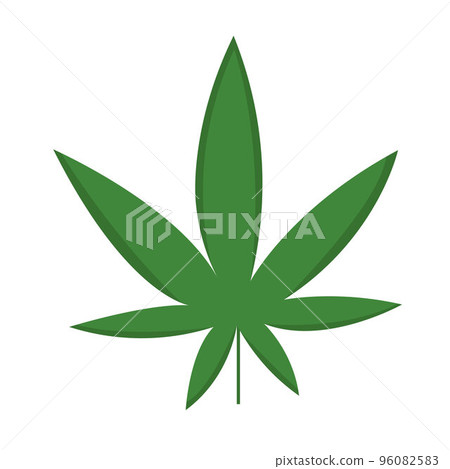 Flat vector marihuana illustration isolated in green color on white background. Medical template, poster logo. Flat vector marihuana illustration isolated in green color on white background. Medical template, poster logo. 96082583