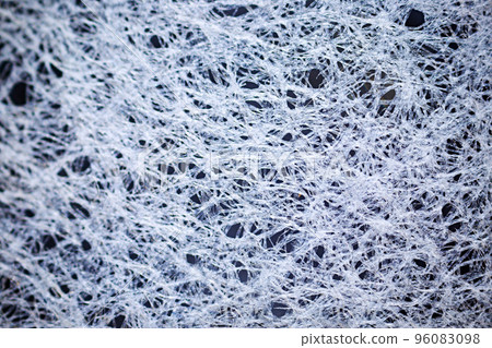 Paper under a microscope 96083098