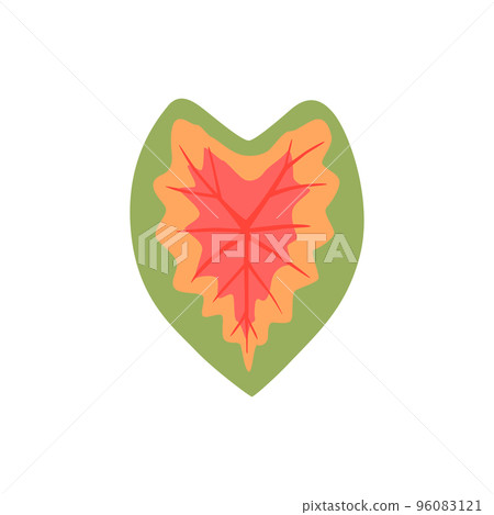 Caladium, flower with colorful leaves. Vector illustration isolated Caladium, flower with colorful leaves. Vector illustration isolated 96083121
