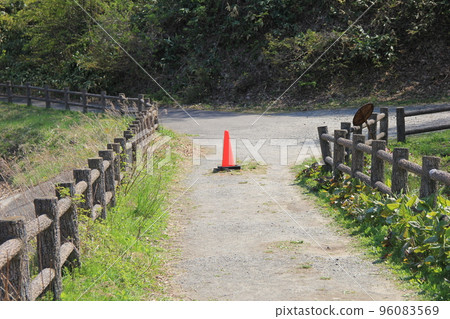 Roadscape/unpaved road with pylons regulating vehicle entry Roadscape/unpaved road with pylons regulating vehicle entry 96083569