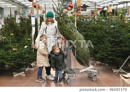 Mother and children choose a Christmas tree at a market. Mother and children choose a Christmas tree at a market. 96085379