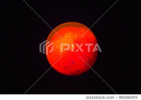 Red Moon Total Lunar Eclipse November 8, 2022 Red Moon Total Lunar Eclipse November 8, 2022 96086095