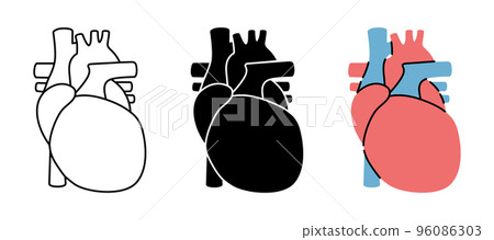 Set of human heart symbols. Human heart icons in color, black and thin line style. Vector illustration. Human organ icons Set of human heart symbols. Human heart icons in color, black and thin line style. Vector illustration. Human organ icons 96086303