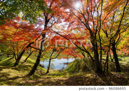 [Oita Prefecture] Autumn leaves in Yosaku Park Bungo Ono City 96086695