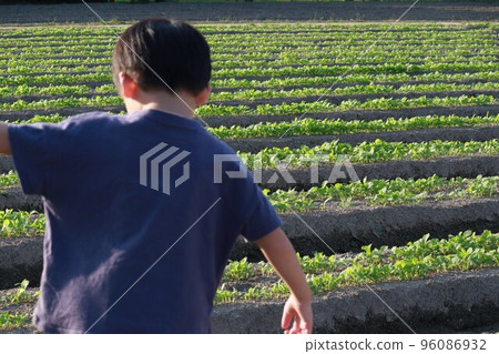 幫助實地工作 96086932