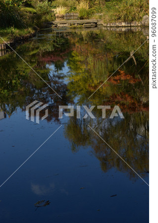 江戶市區秋季散步 96087099